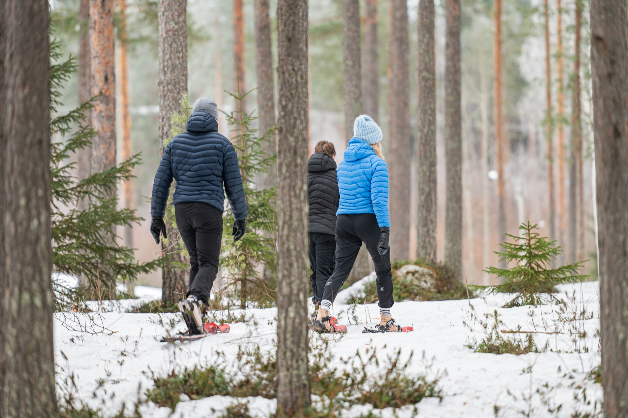 Snowshoeing